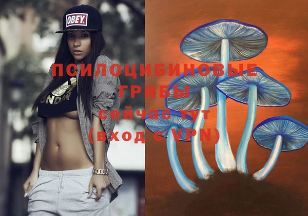 соль курить ск Богородицк