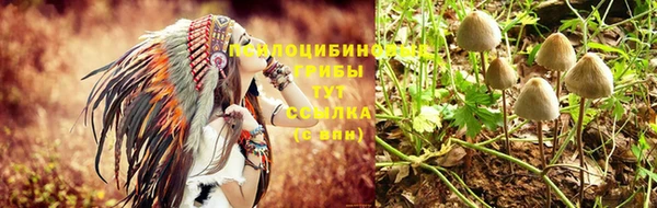 соль курить ск Богородицк