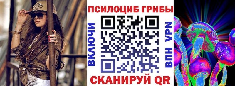 Псилоцибиновые грибы Psilocybe Барнаул