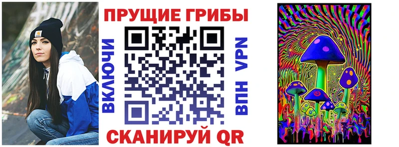 Псилоцибиновые грибы Psilocybe  дарнет шоп  Барнаул 